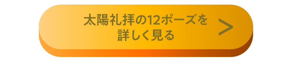 太陽礼拝の12ポーズを詳しく見る