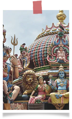 2種の特別なレッスン