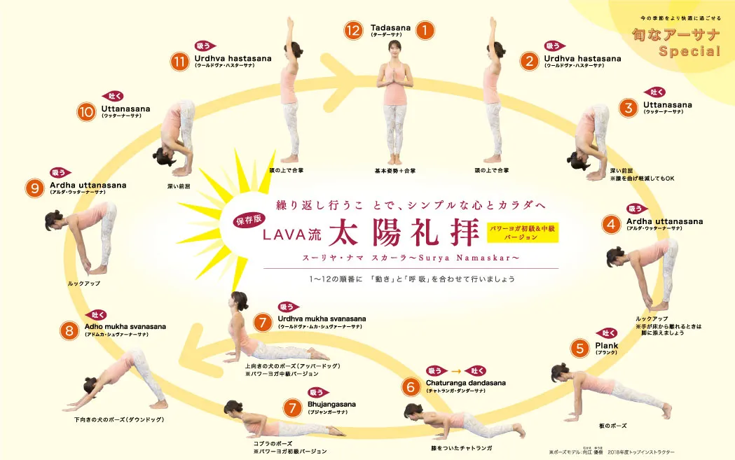 太陽礼拝ポーズ一覧画像