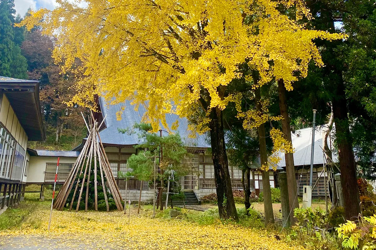 image02