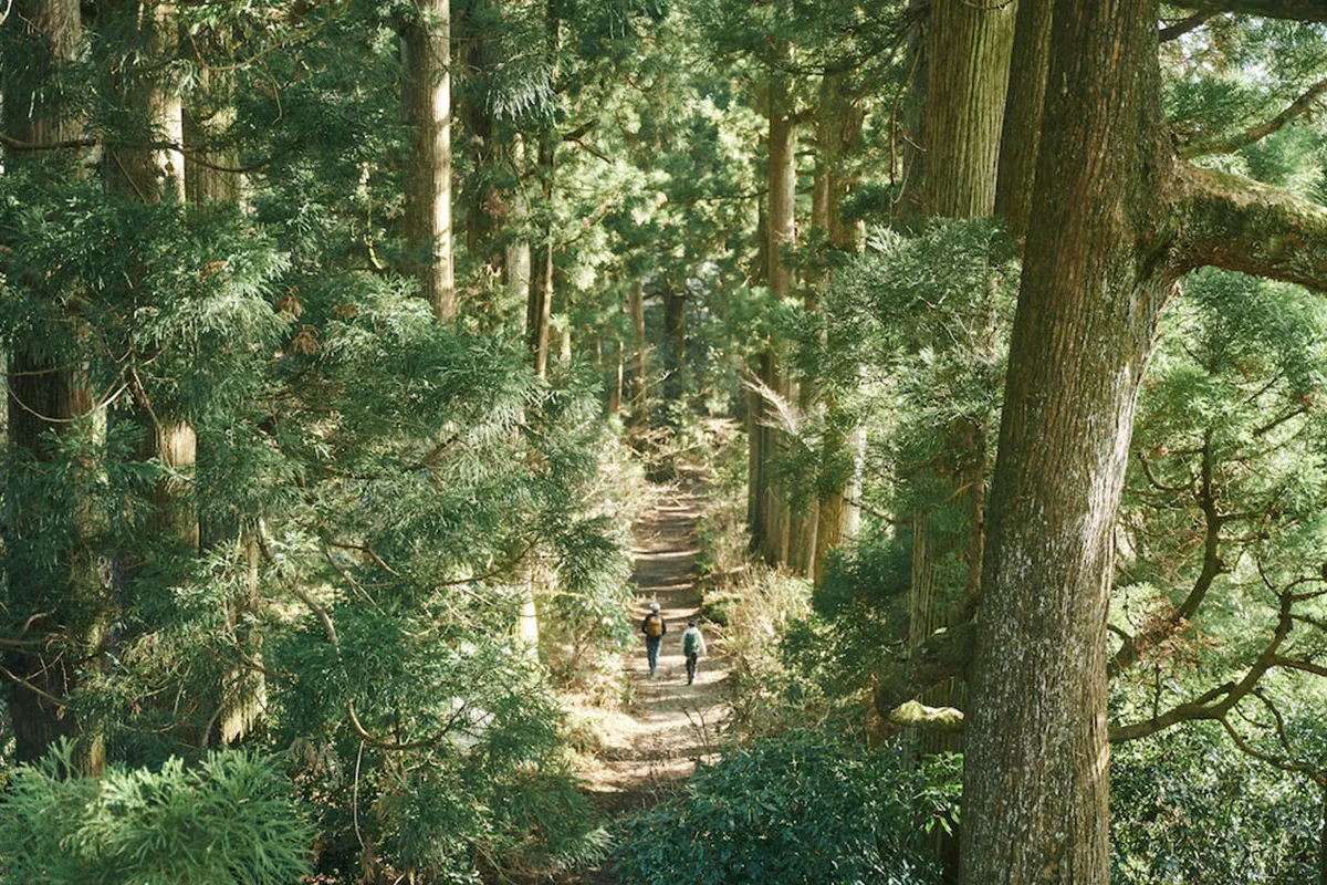 行き先イメージ画像