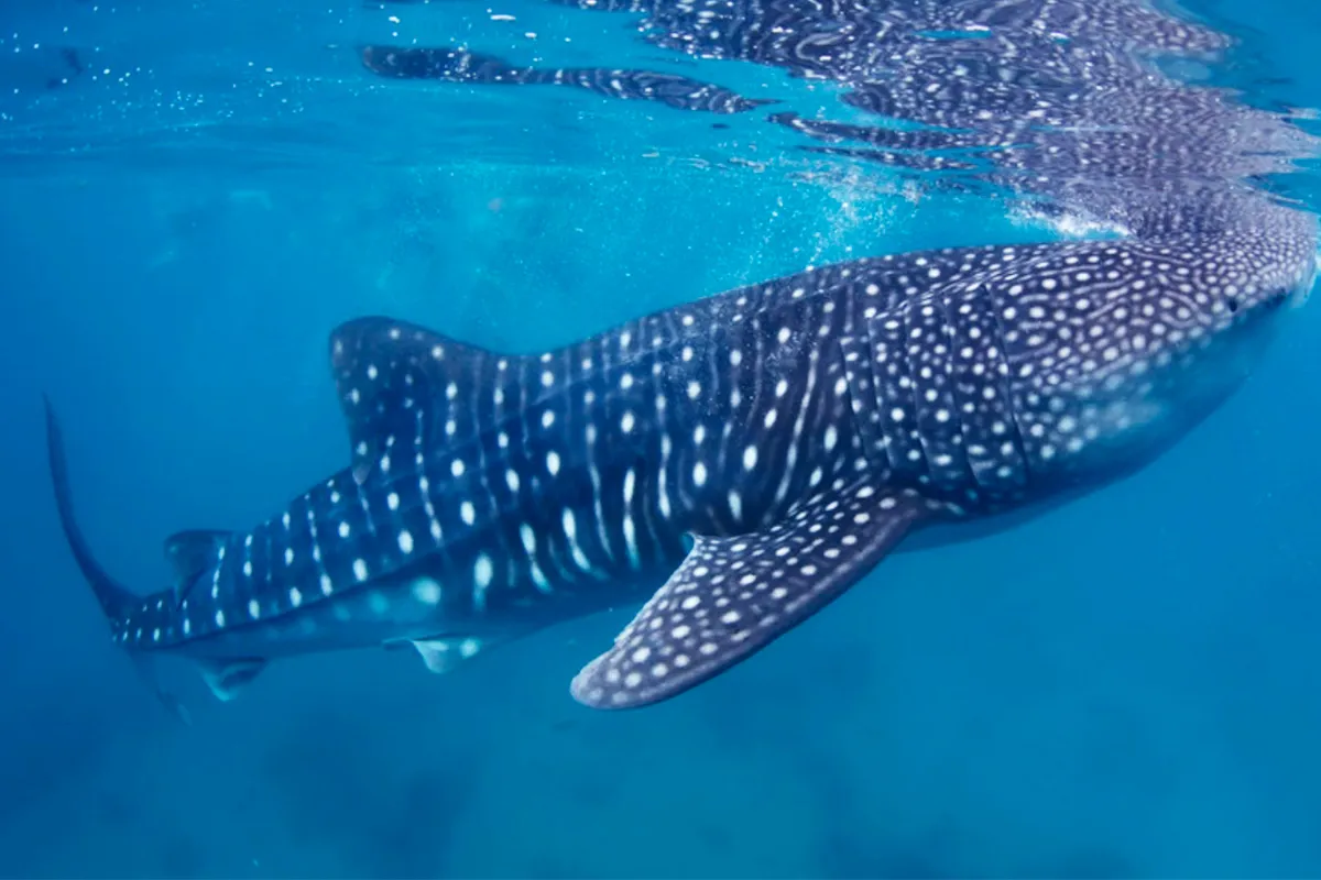 行き先イメージ画像