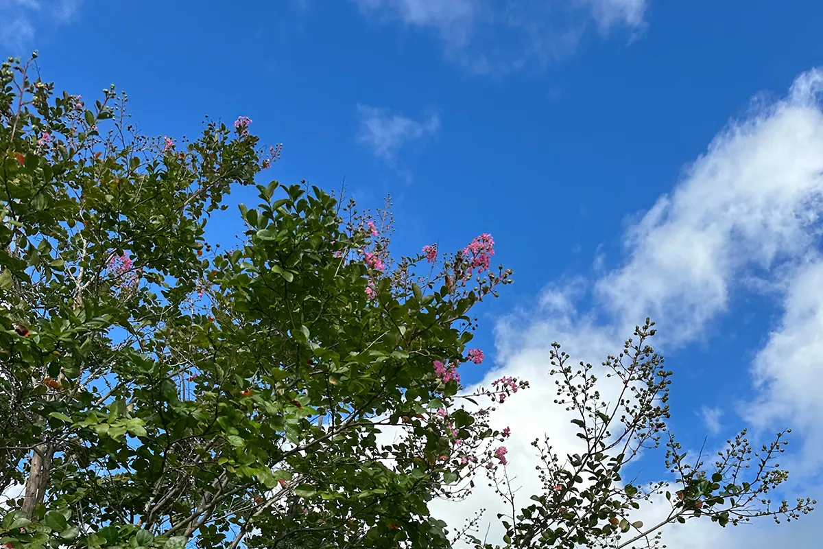 image03