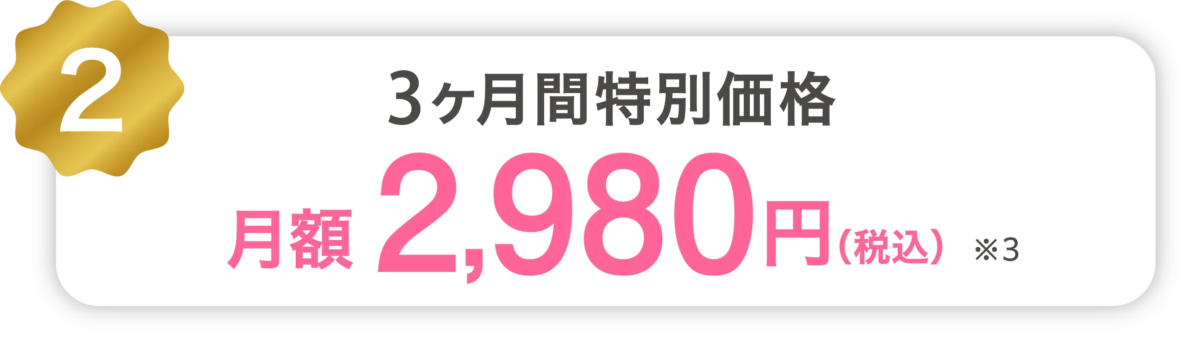 2 3ヶ月間特別価格 月額2,980円(税込)※3