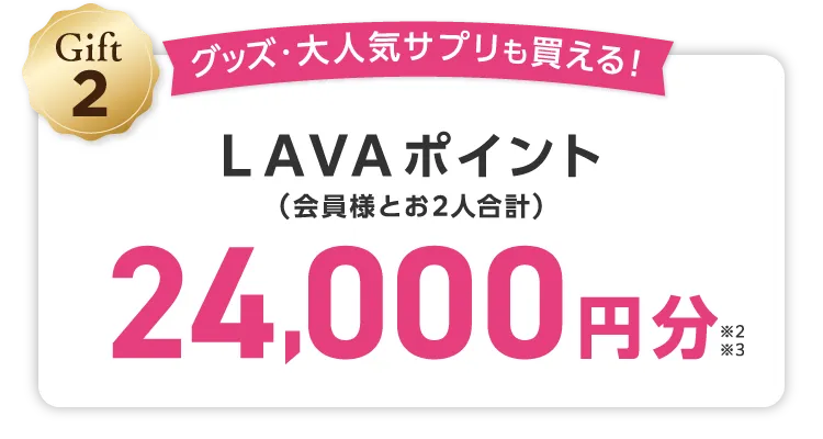 Gift2 グッズ・大人気サプリも買える！(会員様とお2人合計) LAVAポイント 24,000円分