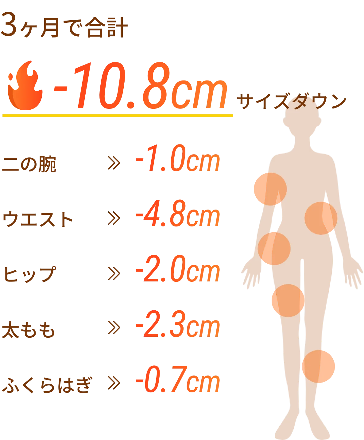 3ヶ月で合計-10.8cmサイズダウンを表した図。二の腕-1.0cm ウエスト-4.8cm ヒップ-2.0cm 太もも-2.3cm ふくらはぎ-0.7cm