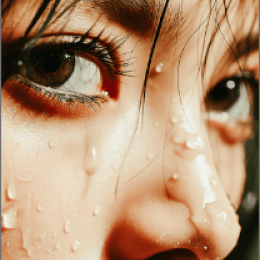 高質なインストラクター