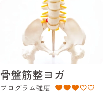 30種類以上の滝汗レッスン