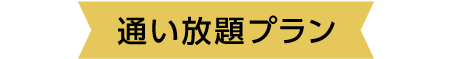 通い放題プラン