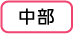 中部