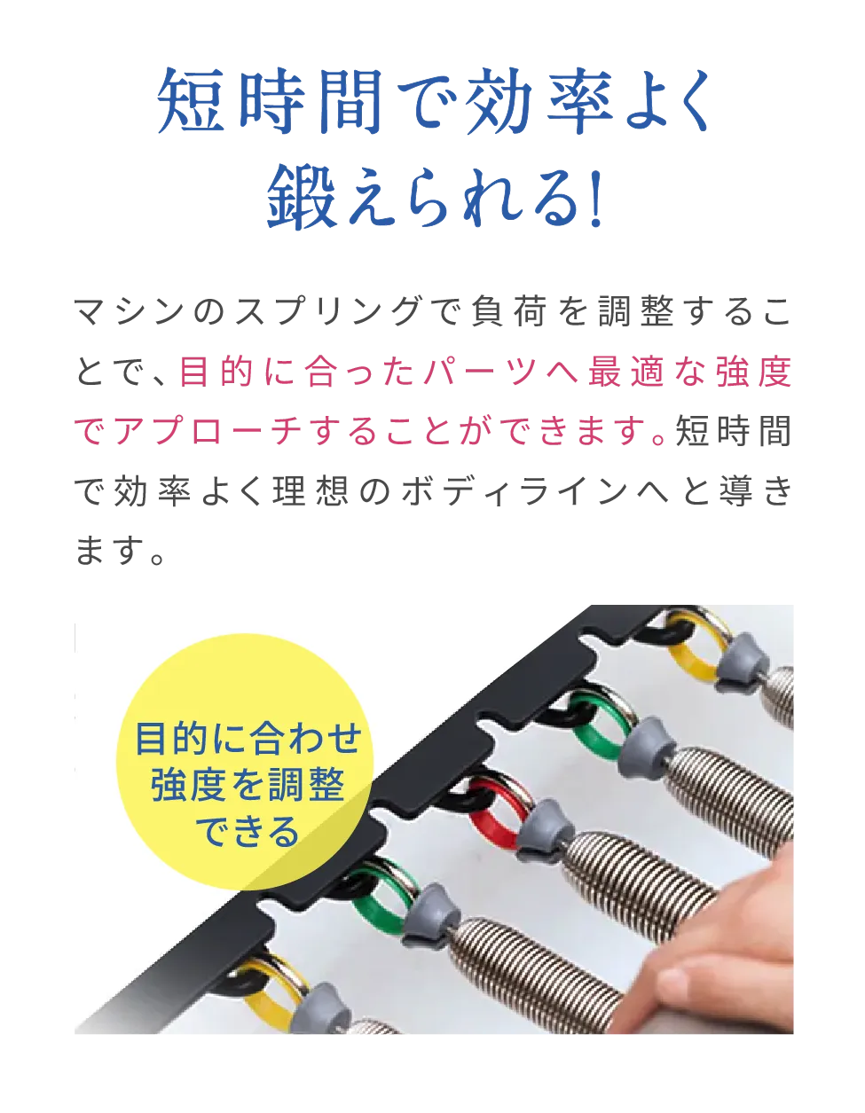 短時間で効率よく鍛えられる! マシンのスプリングで負荷を調整することで、目的に合ったパーツへ最適な強度でアプローチすることができます。短時間で効率よく理想のボディラインへと導きます。