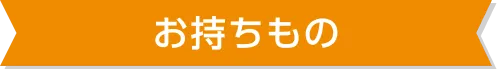 お持ちもの