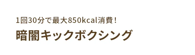 1回30分で最大850kcal消費！暗闇キックボクシング