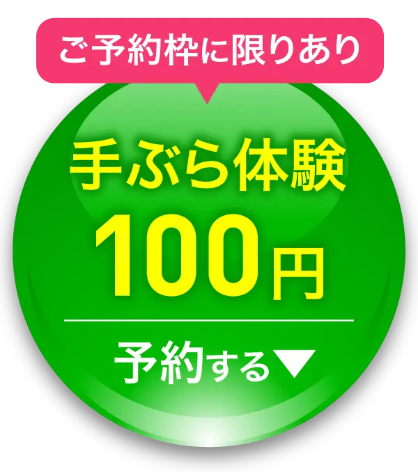 100円手ぶら体験予約ボタン