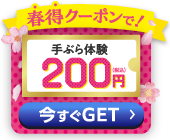 春得クーポンで! 手ぶら体験200円(税込) 今すぐGET