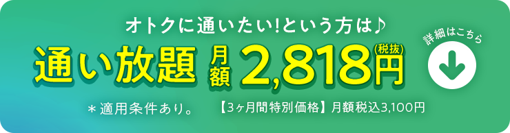 月額2,909円