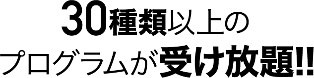 30種類以上のプログラムが受け放題!!