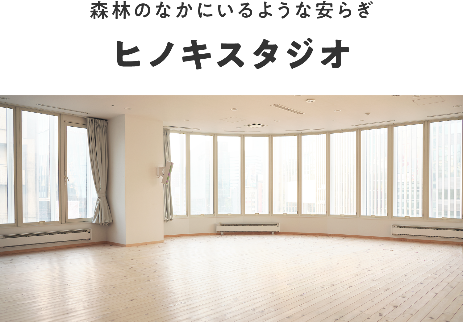 LAVA独自開発 森林のなかにいるような安らぎ ヒノキスタジオ