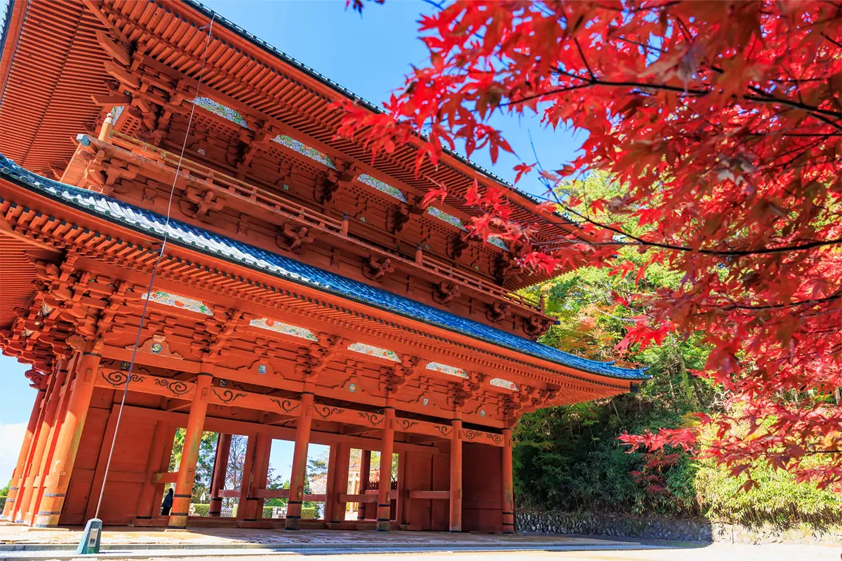 はじめてでも大丈夫！逆さま部高野山合宿 ～やってみたいを叶えよう～