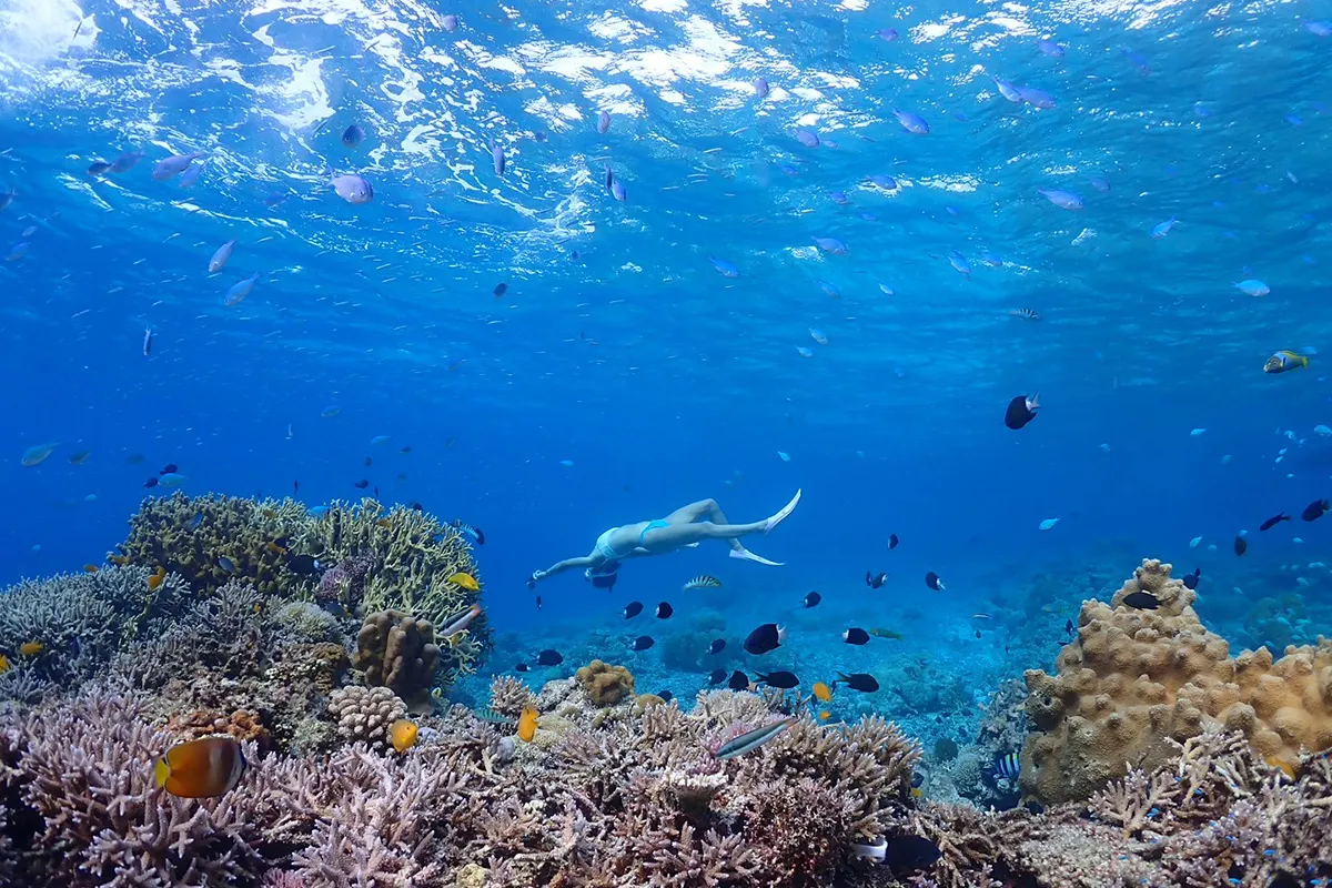 世界が恋する座間味島で癒しのトキ2026第2弾 ～ダイビング×ヨガ～