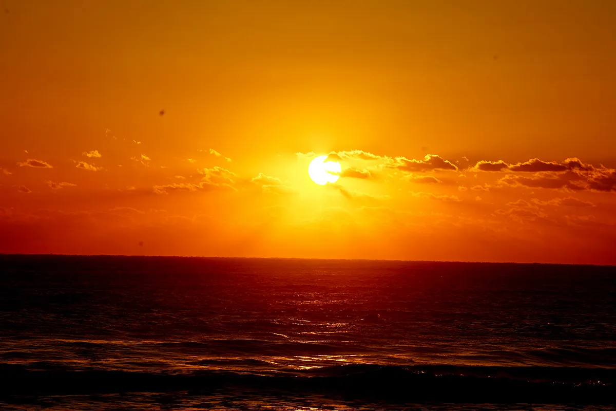 image03