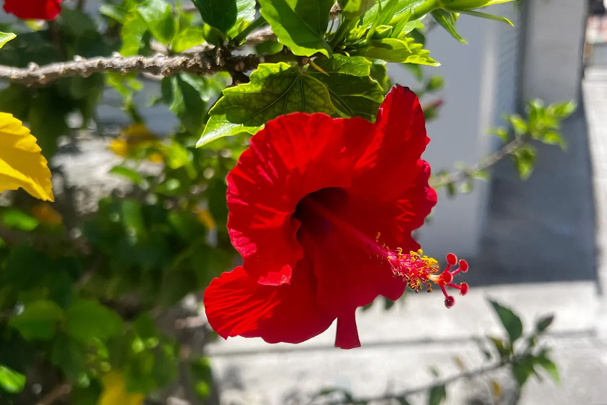 image05