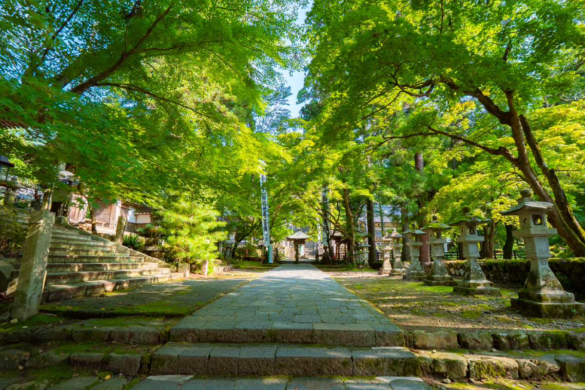 秋のご褒美旅！紅葉リトリートin岐阜 ～訪れることから、つながる。地域応援プロジェクト～