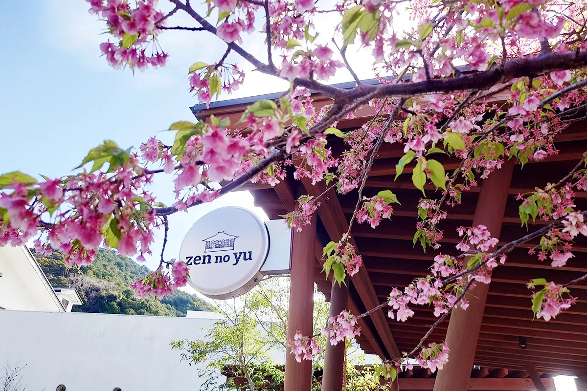 河津桜とヨガ～土地を味わう3日間～