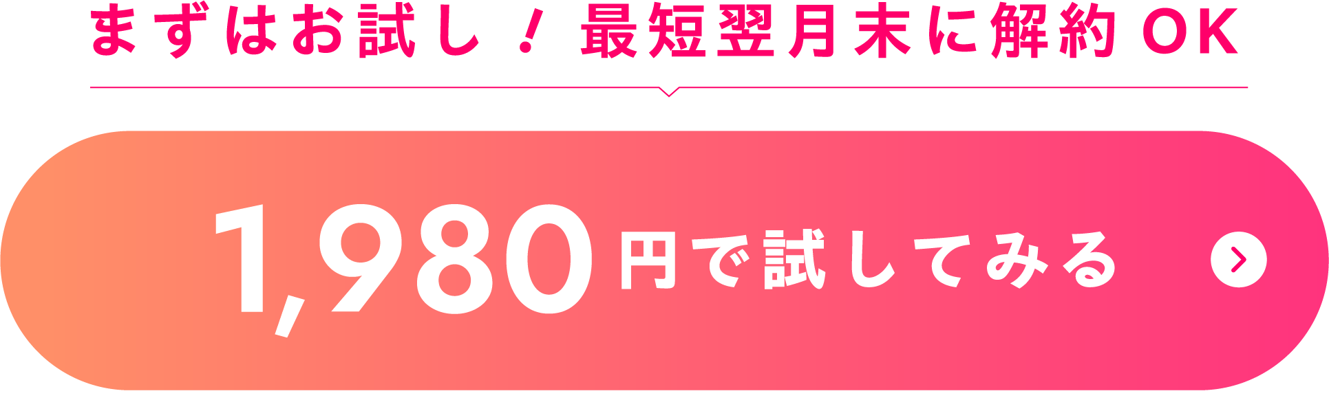 ますはお試し　最短翌月末から解約OK！月額1,080円で試してみる