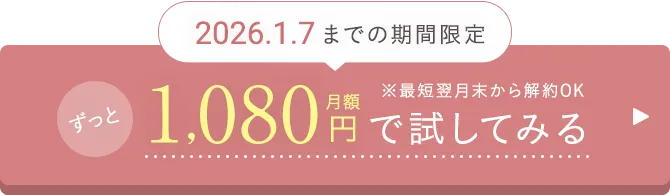 1,080円で試してみる