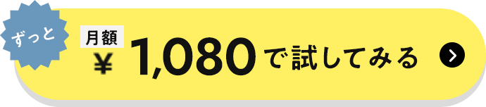 月額1,080円で試してみる