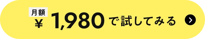 月額1,980円で試してみる