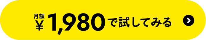 月額1,980円で試してみる