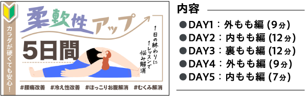 柔軟性アップ 5日間 カラダが硬くても安心！ 1日の終わりに1レッスンで悩み解消 #腰痛改善 #冷え性改善 #ぽっこりお腹解消 #むくみ解消 内容：●DAY1：外もも編(9分) ●DAY2：内もも編(12分) ●DAY3：裏もも編(12分) ●DAY4：外もも編(9分) ●DAY5：内もも編(7分)