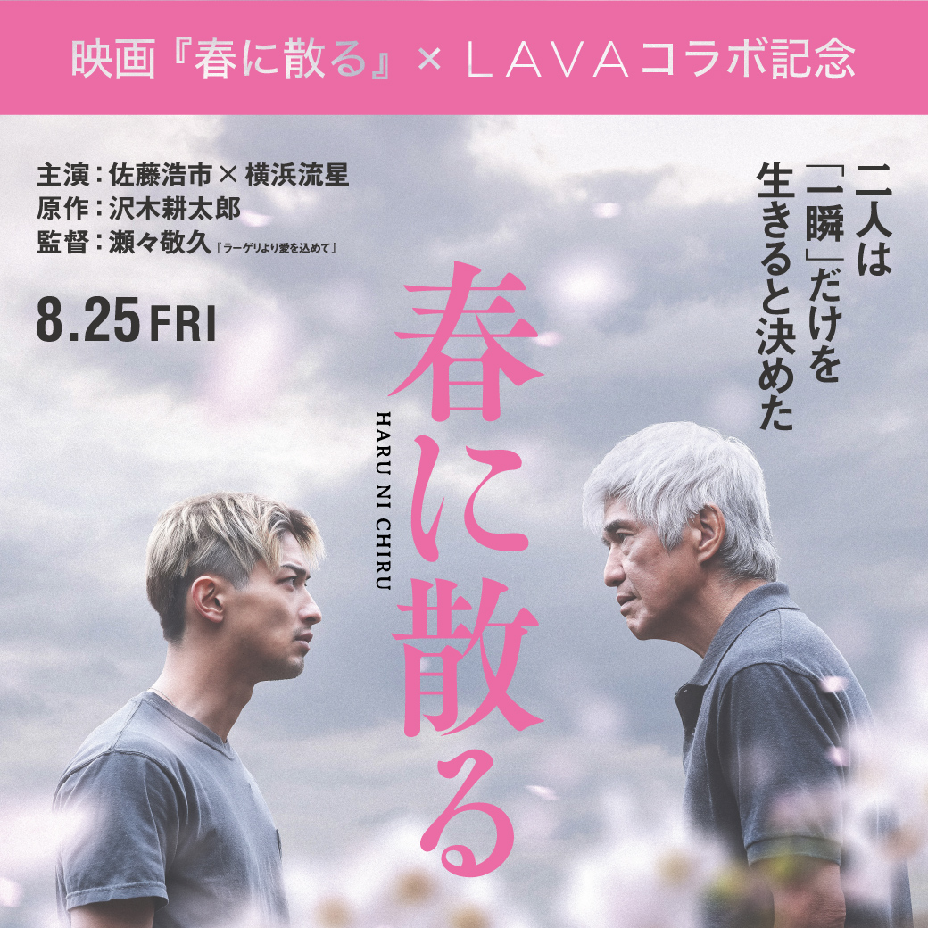 LAVA会員様限定】映画『春に散る』ムビチケを〈特別価格〉にて販売決定