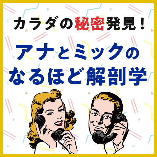 カラダの秘密発見！アナとミックのなるほど解剖学