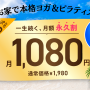 【永久割スタート！】夏はお家で本格ヨガ＆ピラティス！